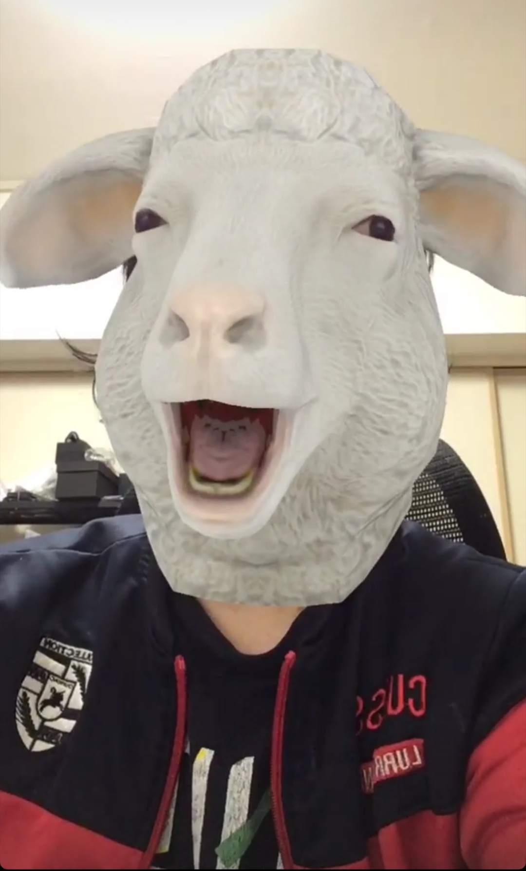 AnimalHead Sheep